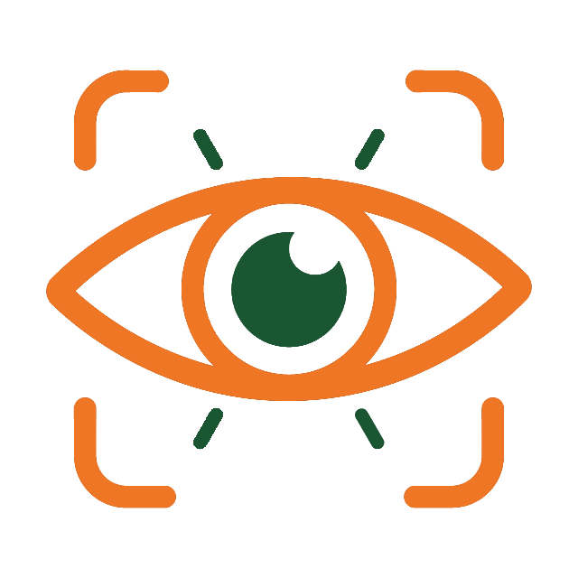 Vision flat icon of orange and green eye